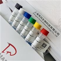 国产胰岛素ELISA试剂盒厂家