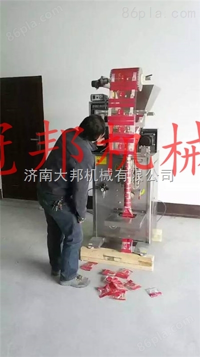 沧州市 DXDK60E型红枣定量包装机厂家 价格  济南【大-邦】